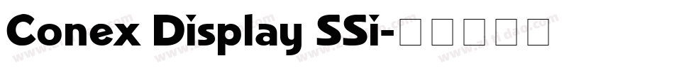 Conex Display SSi字体转换